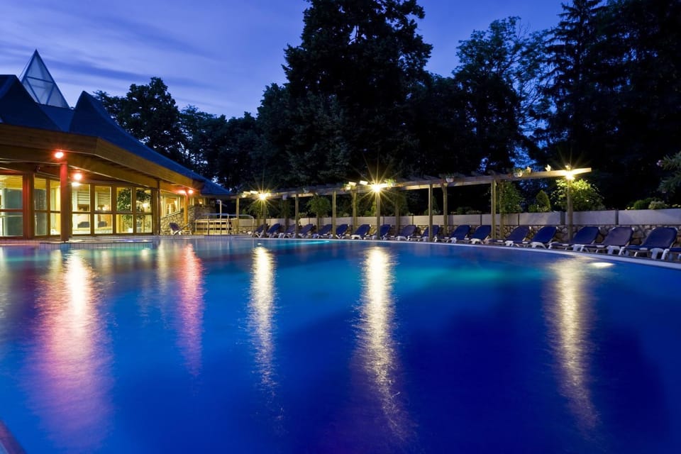 Spa and wellness centre/facilities, Swimming pool