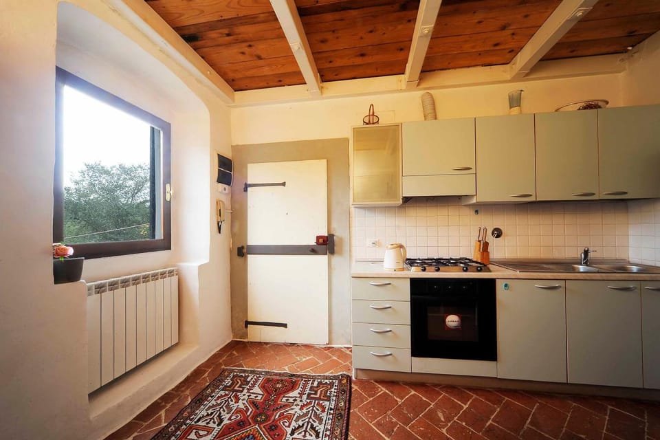 Kitchen or kitchenette, Garden view