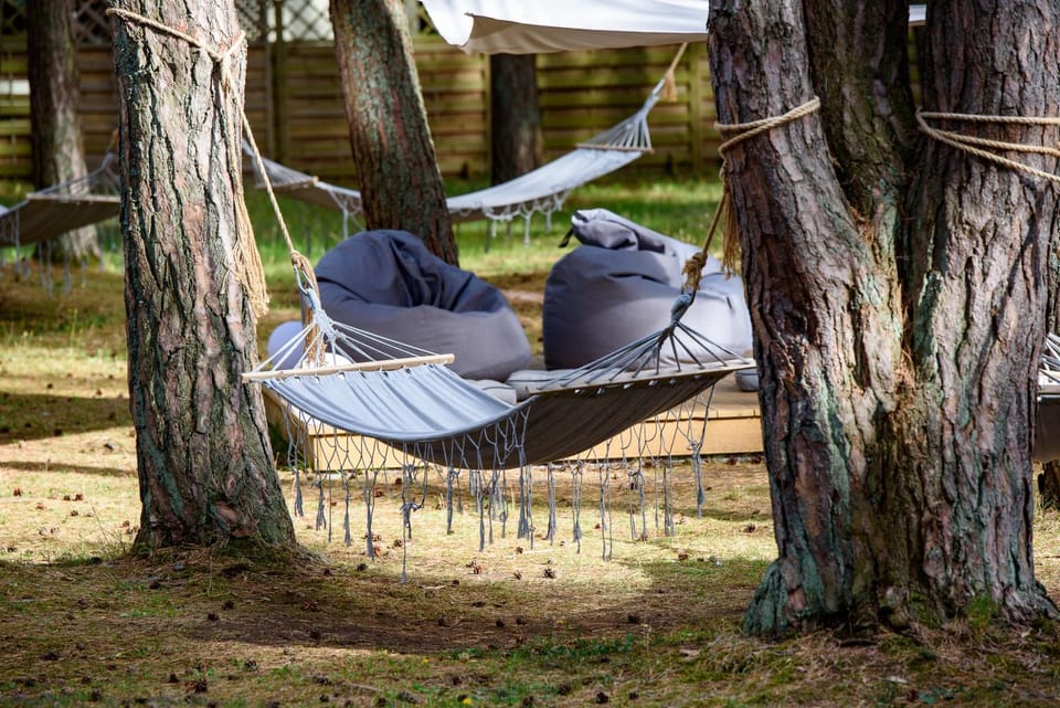 Garden, Garden, Seating area, Garden view