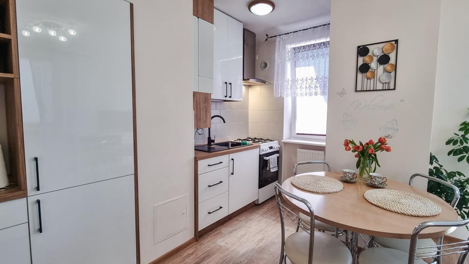 Kitchen or kitchenette, Dining area, oven, stove