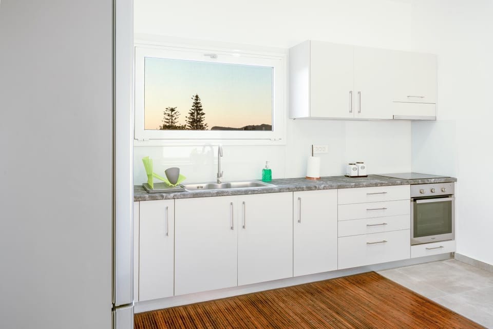 Kitchen or kitchenette, minibar, pet friendly, stove