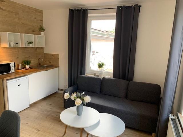Apartmány LUXOR Apartment in Saxony