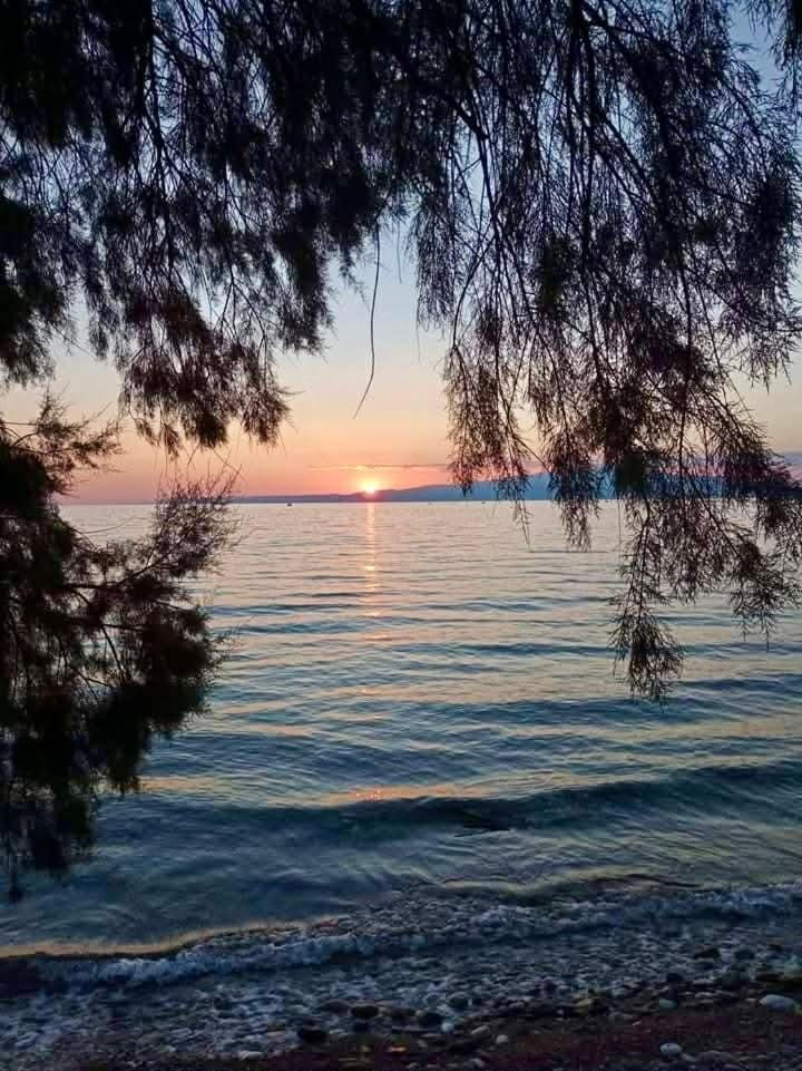 Pine Beach House House in Thasos