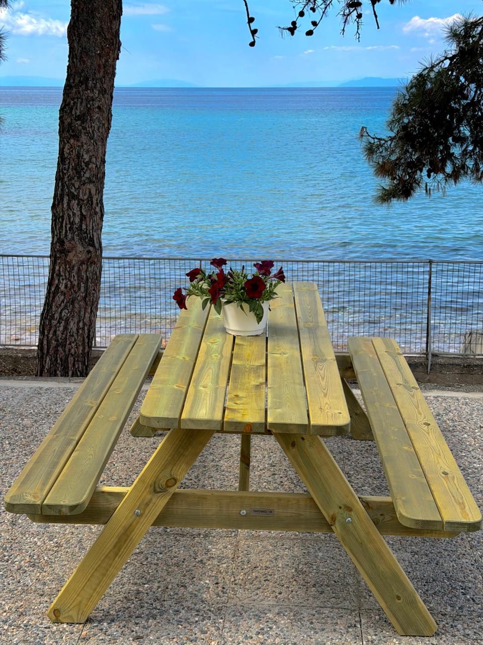 Pine Beach House House in Thasos