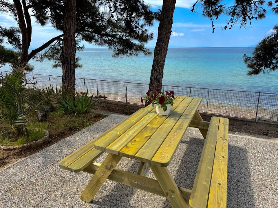 Pine Beach House House in Thasos