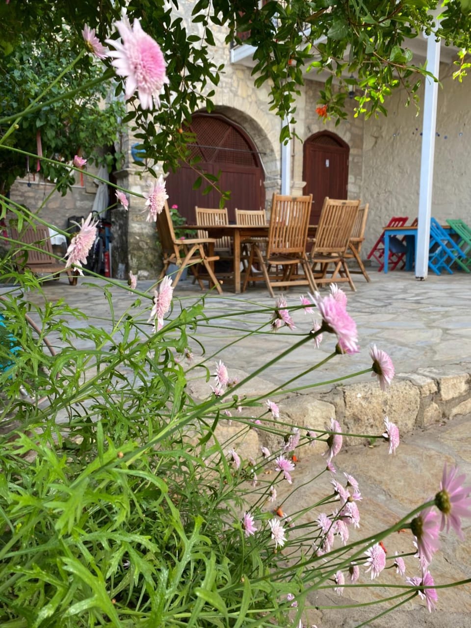 annemin harabesi otel Apartment hotel in Cesme