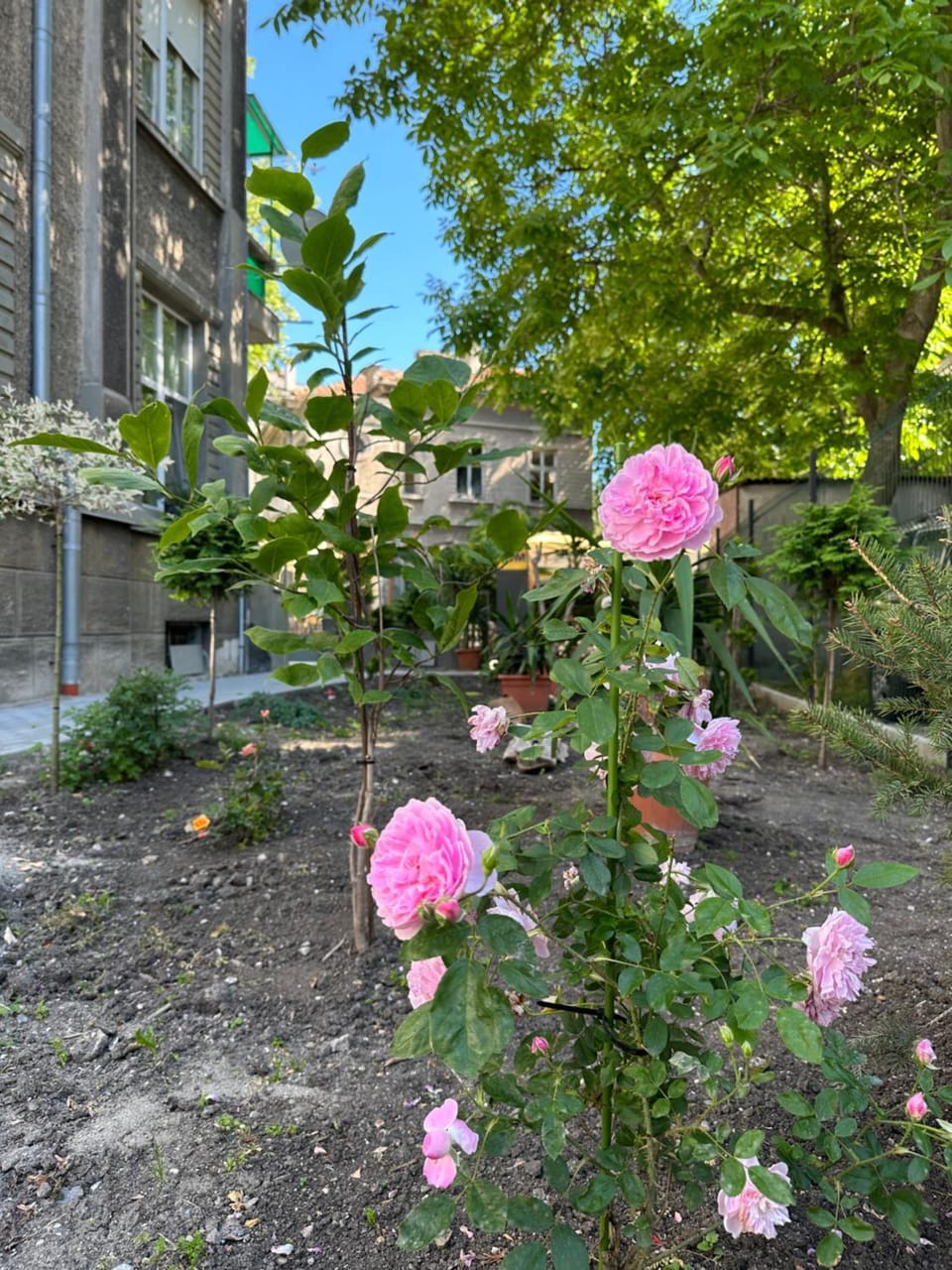 Property building, Day, Garden, Garden view