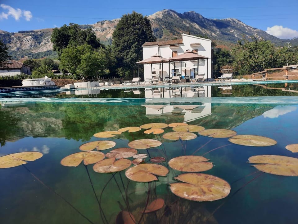 Property building, Swimming pool