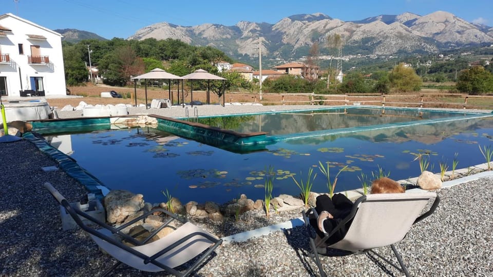 Pool view, Swimming pool