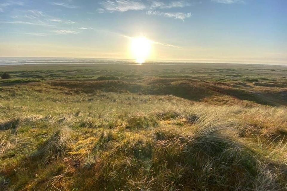 Natural landscape, Sunset