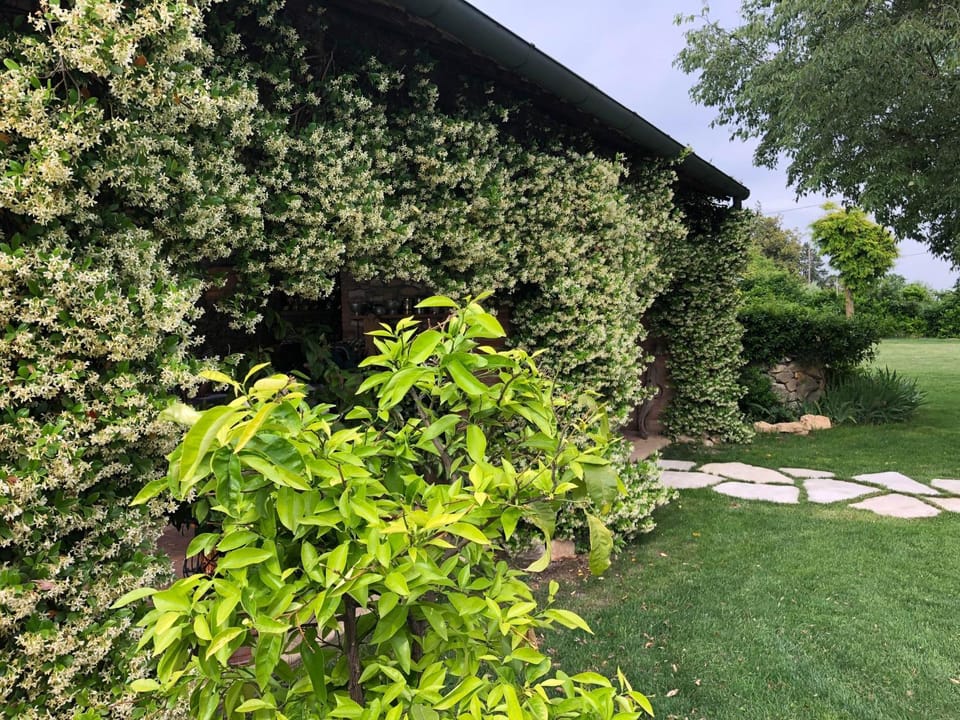 Property building, Garden