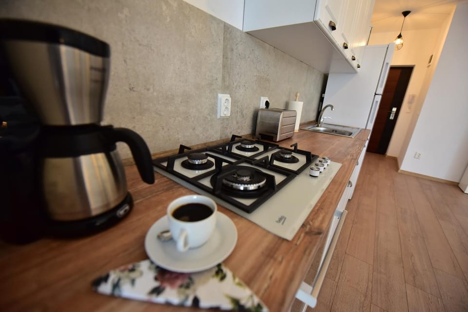 LULU Apartment Apartment in Sibiu