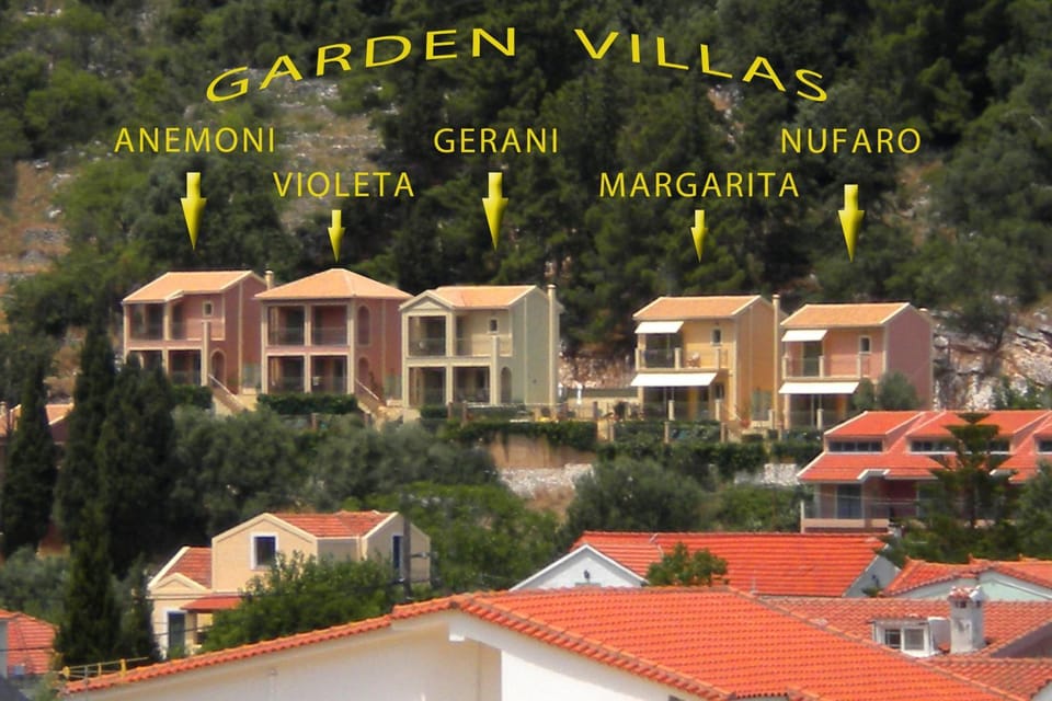 Neighbourhood