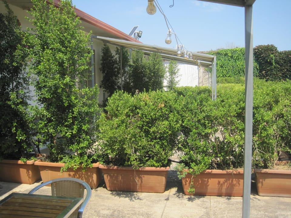 Patio, Day, Balcony/Terrace