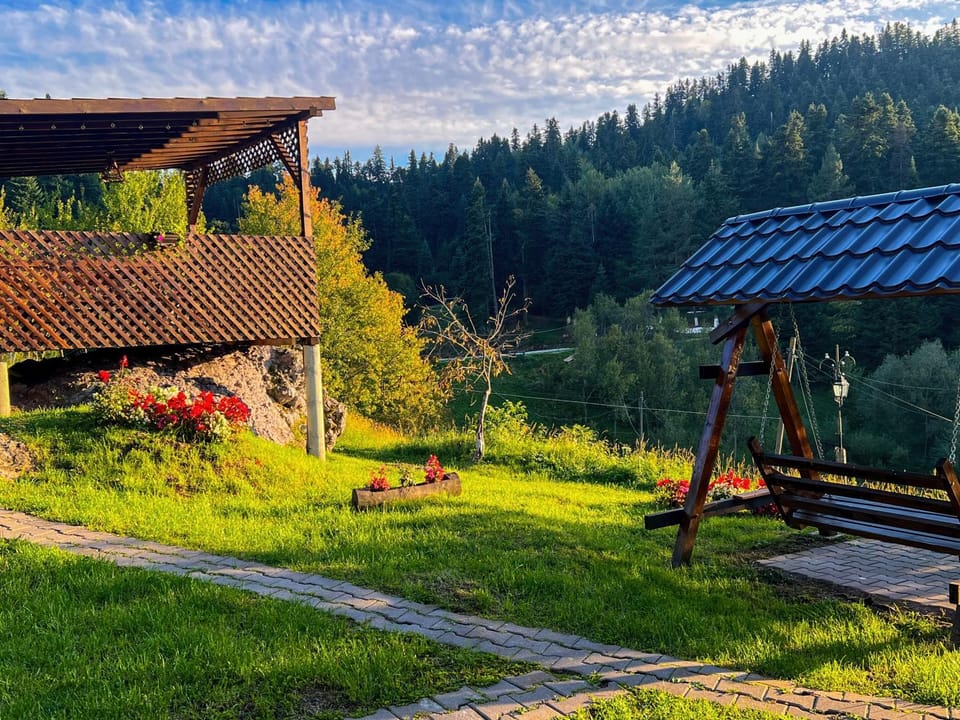 Day, Natural landscape, Garden view