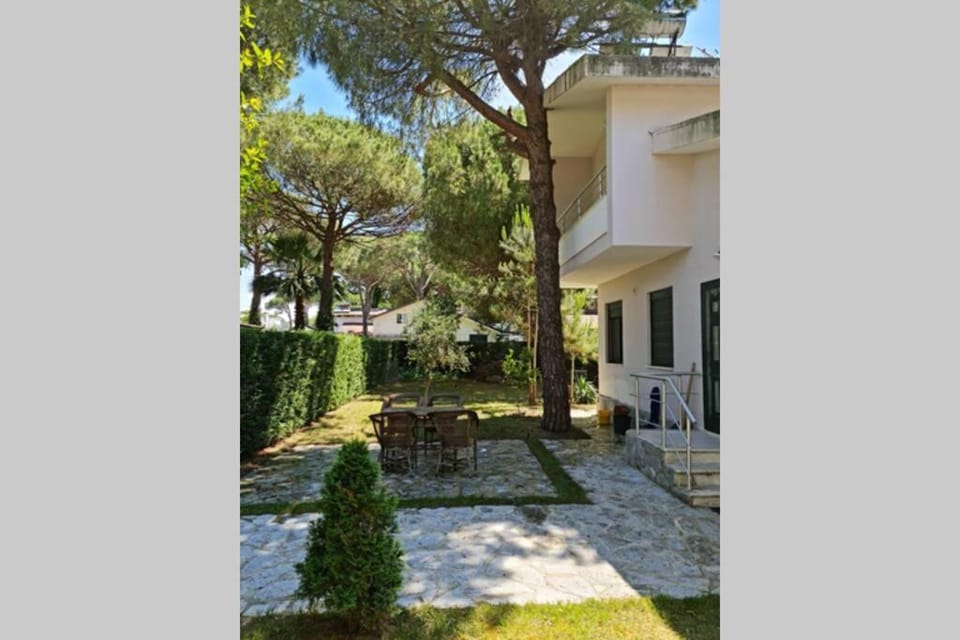 Property building, Garden, Garden view