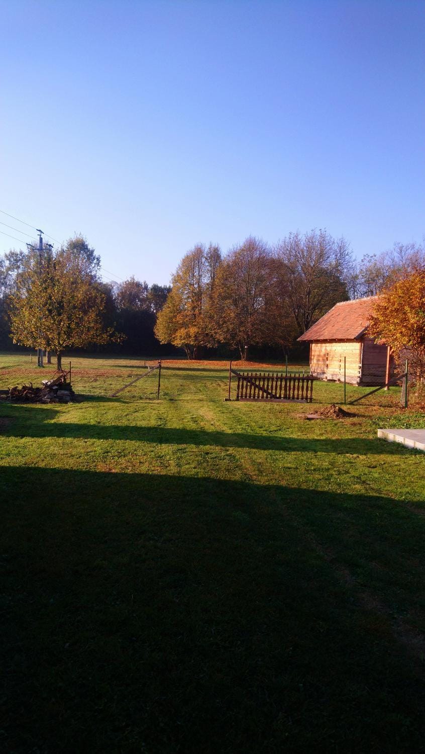Natural landscape, Garden, View (from property/room)