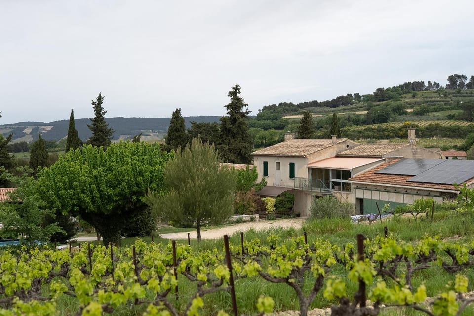 Property building, Spring, Natural landscape, Garden