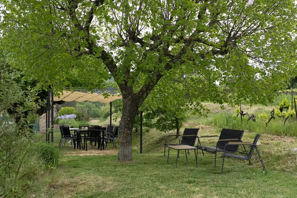 Spring, Day, Natural landscape, Garden, Garden view