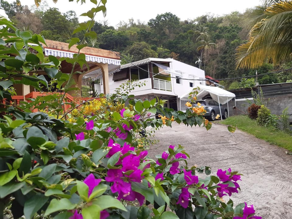 La Poulette amazonienne Chalet in Martinique