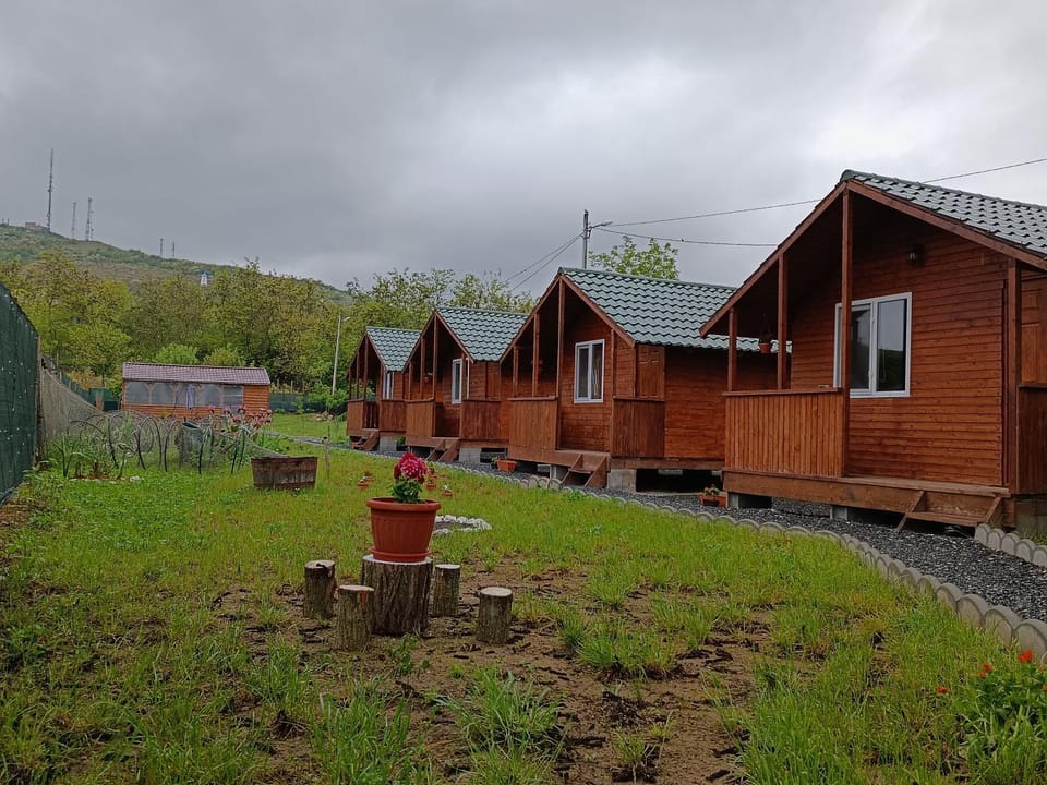 Property building, Garden, Garden view