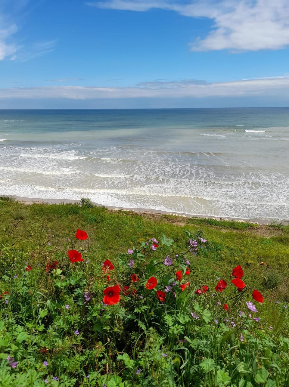 Nearby landmark, Natural landscape, Beach, Sea view