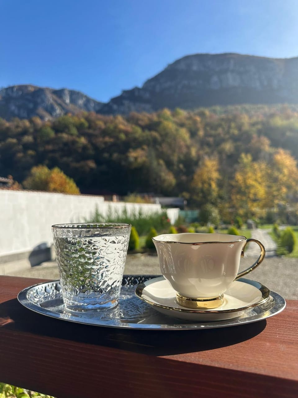 Casa Astoria Vacation rental in Serbia