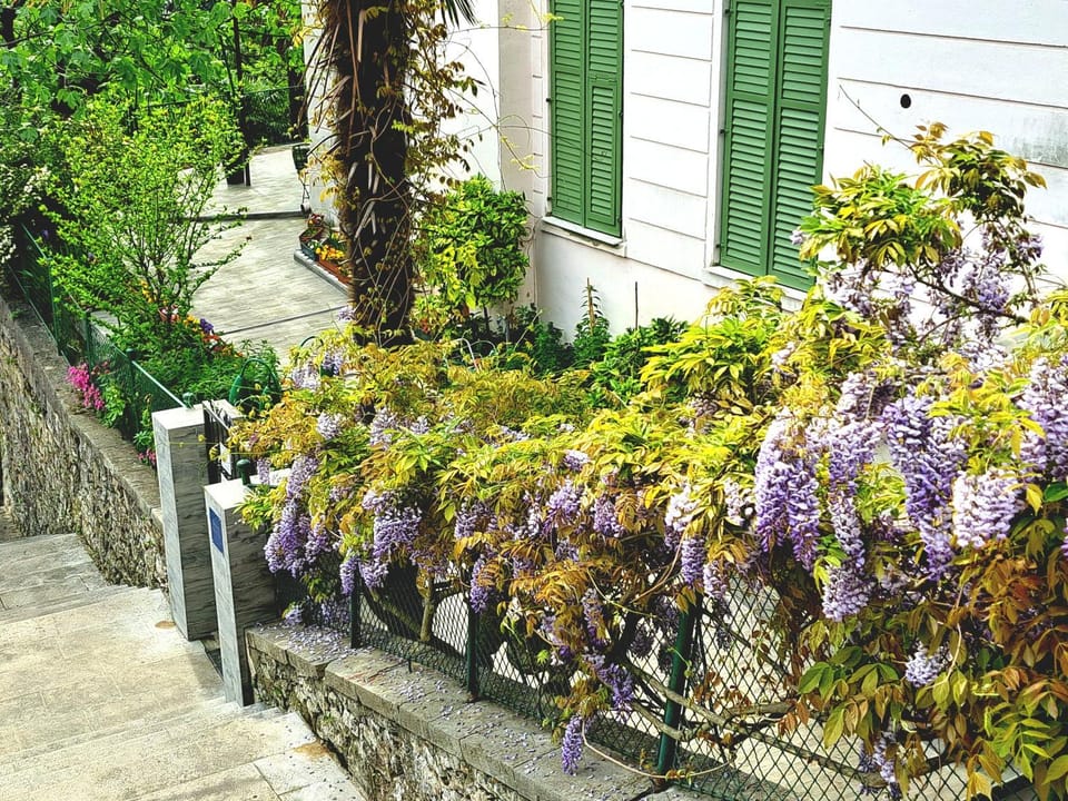 Facade/entrance, Day, Garden view, Street view, Street view