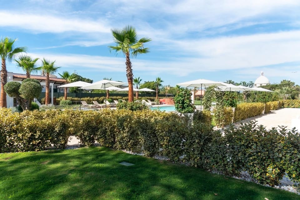 Spring, Day, Natural landscape, Garden, Lounge or bar, Garden view