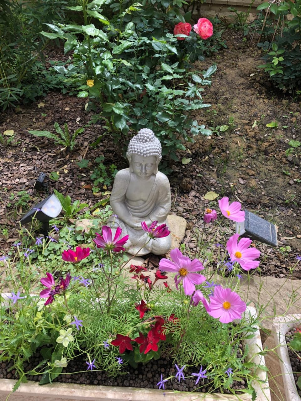 La Vie en Roses Bed and Breakfast in Occitanie