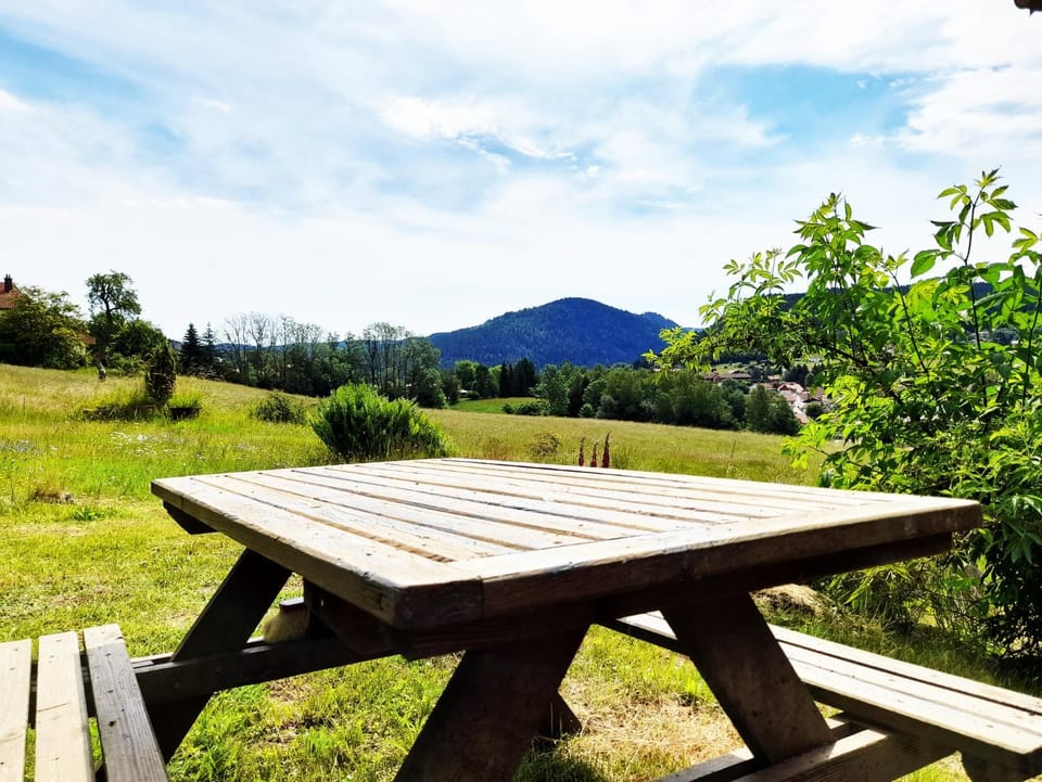 Chalet de Xonrupt / Vue splendide sur les montagnes Chalet in Xonrupt-Longemer