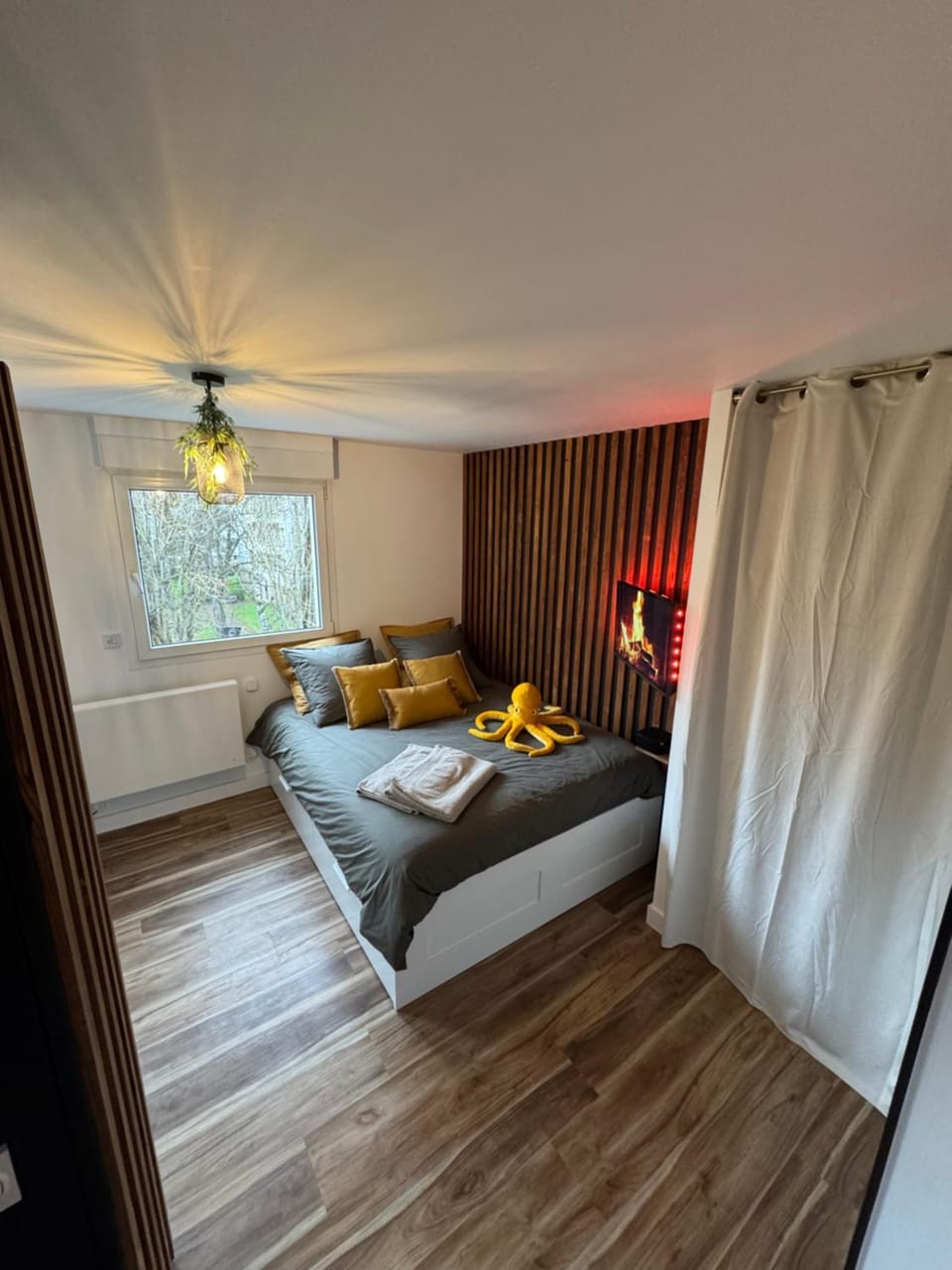 Bed, Photo of the whole room