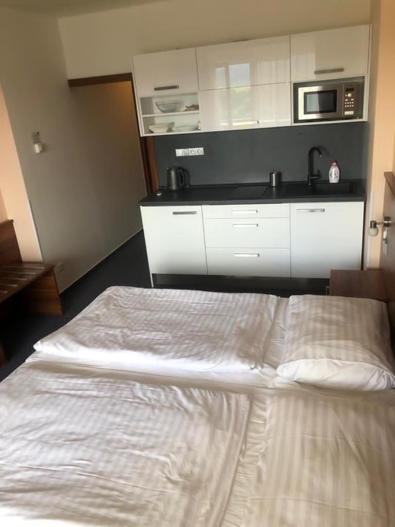 Apartmány wellness Frymburk Apartment in South Bohemian Region