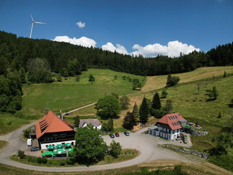 Ferienhaus Wendelinus mit Pool & Sauna Apartment in Ortenau