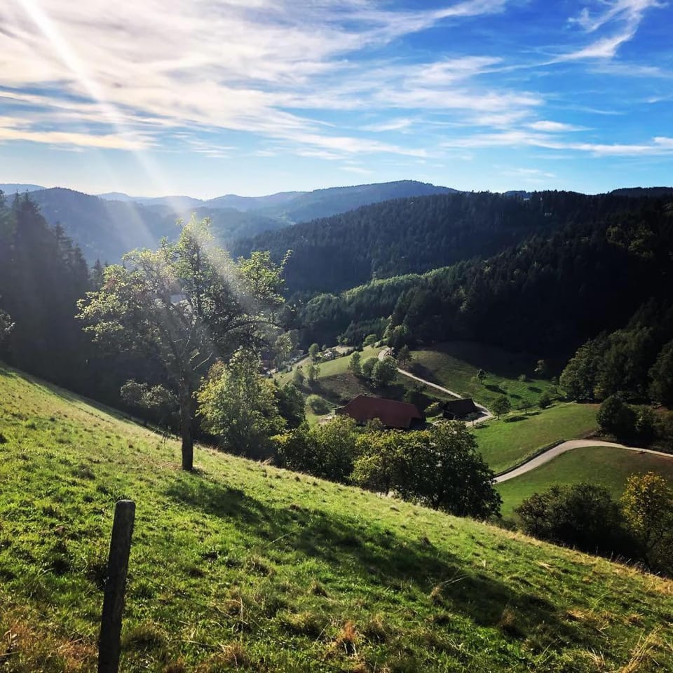 Ferienhaus Wendelinus mit Pool & Sauna Apartment in Ortenau