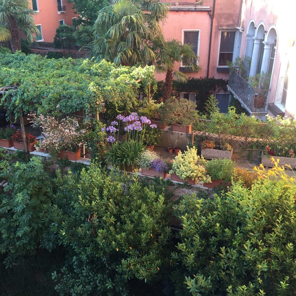 Garden view
