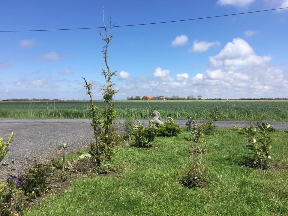 Natural landscape, Garden view, Parking