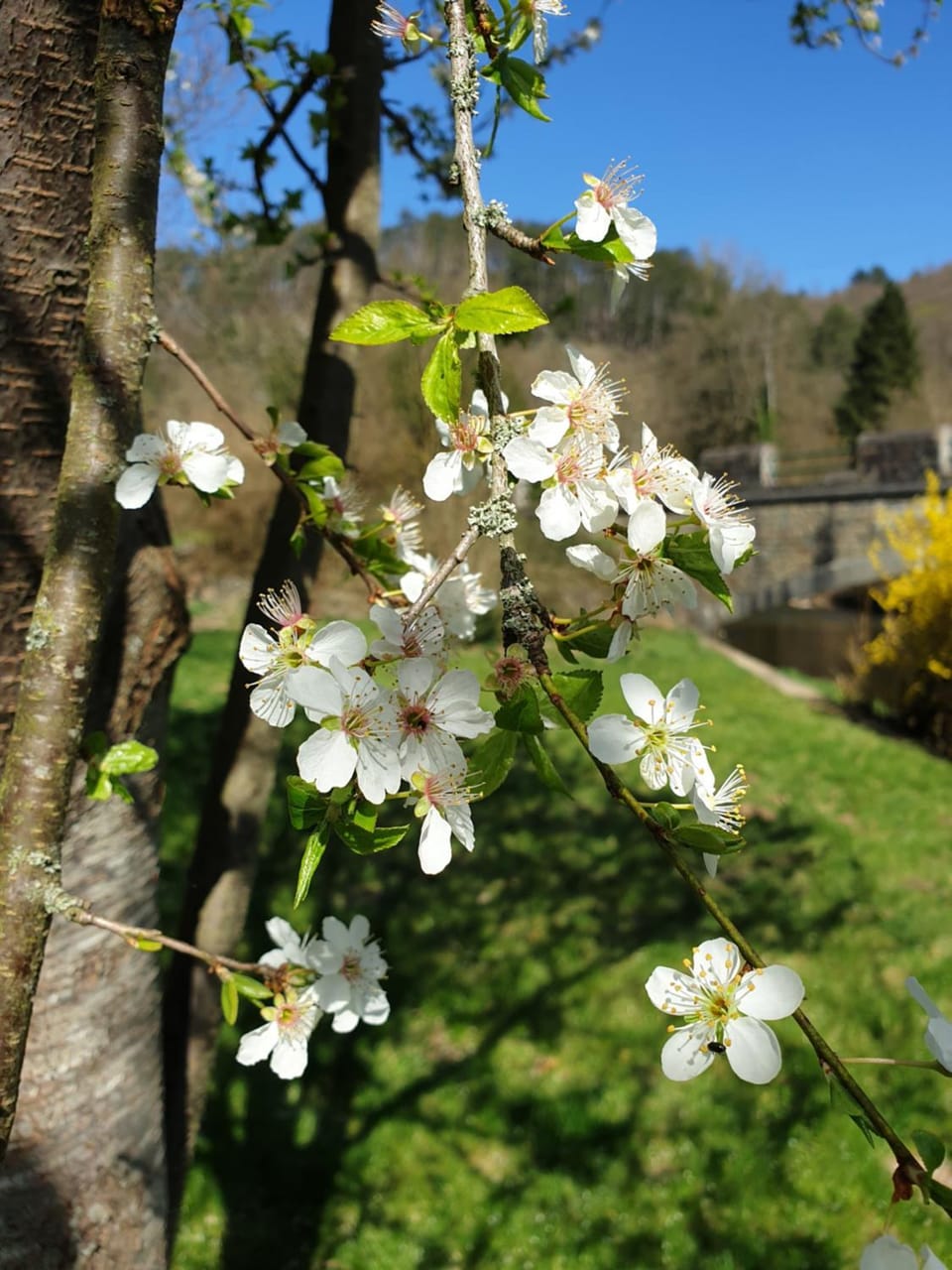 Cent Trente Bed and Breakfast in Wallonia, Belgium