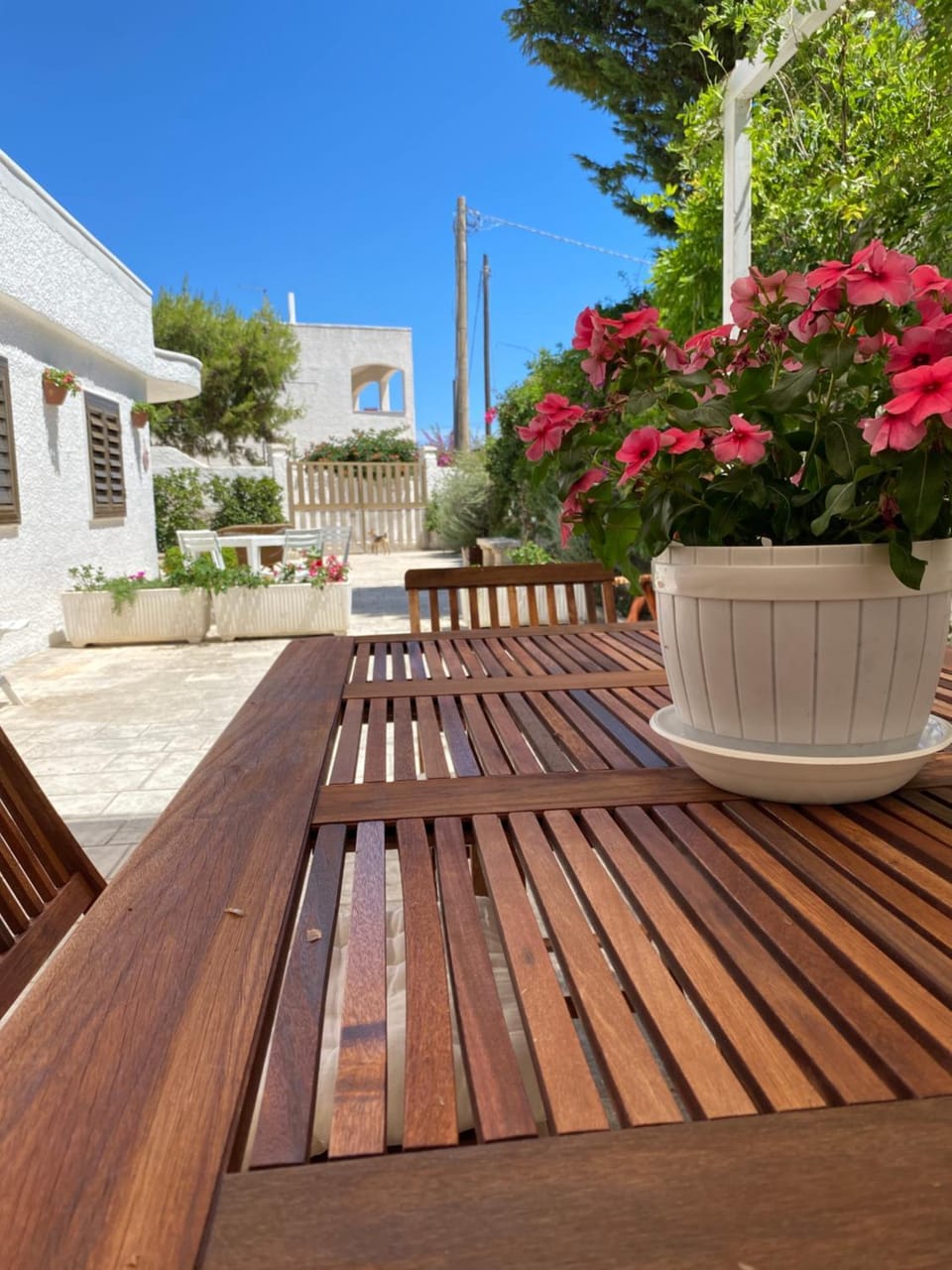 Casa Alfonsa Apartment in Province of Taranto