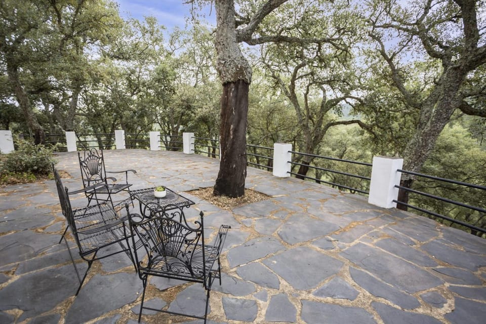 Patio, Spring, Day, Natural landscape, Garden, View (from property/room), Balcony/Terrace, Garden view