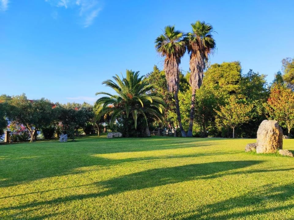 Day, Garden, Garden view