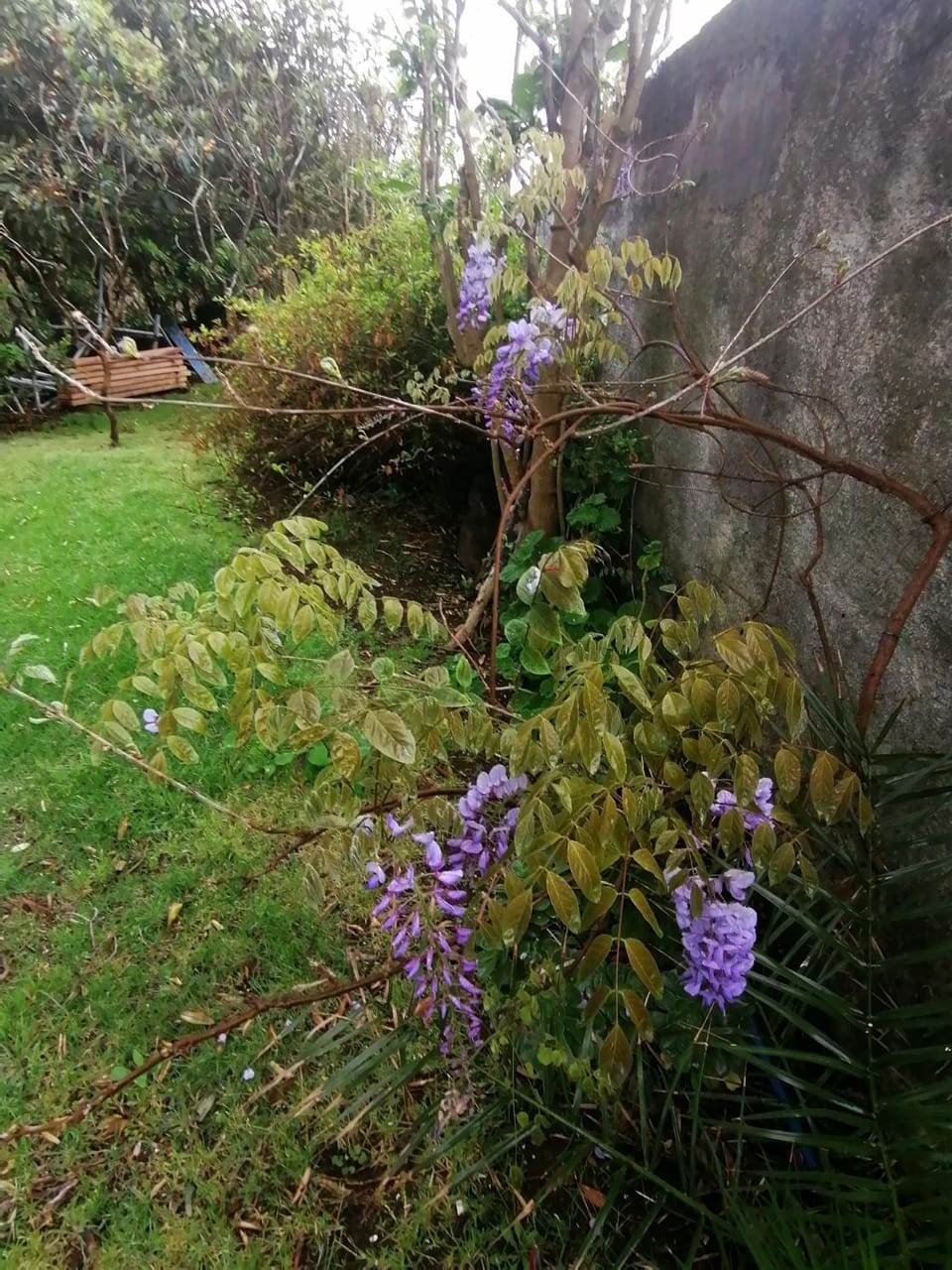 Varandas Miramar Apartment in Azores District