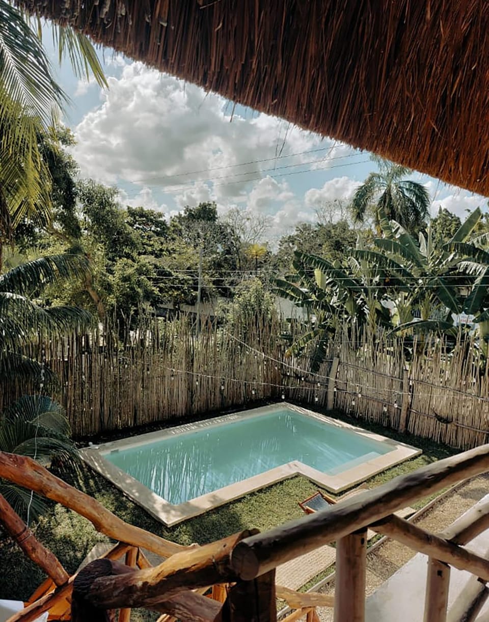Swimming pool, Swimming pool