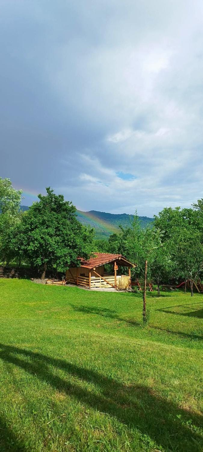 The Story Garden Campground/ 
RV Resort in Romania