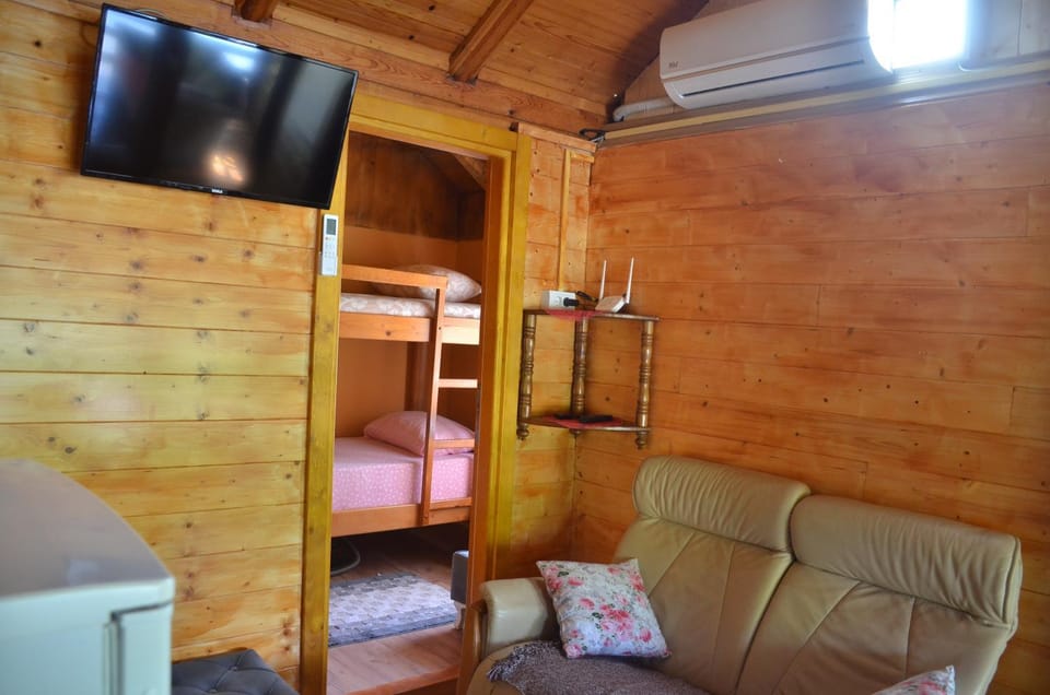 Negde na Drini 1 House in Zlatibor District, Serbia