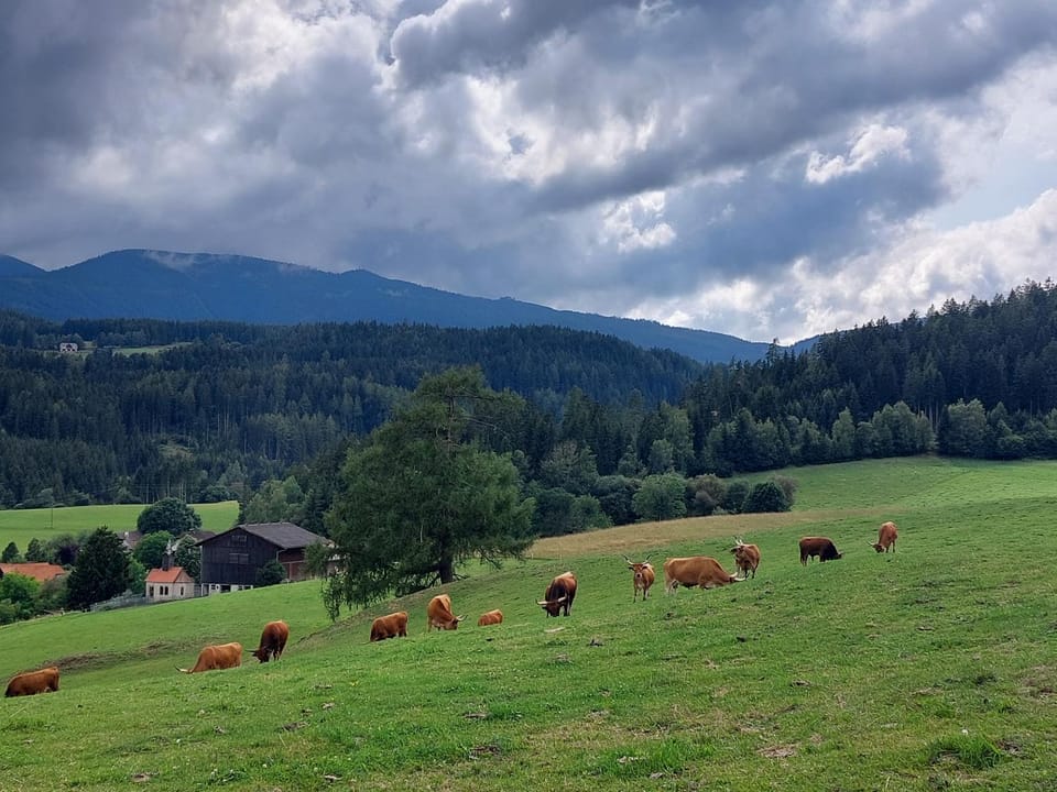 Graslandhof Farm Stay in Carinthia, Austria