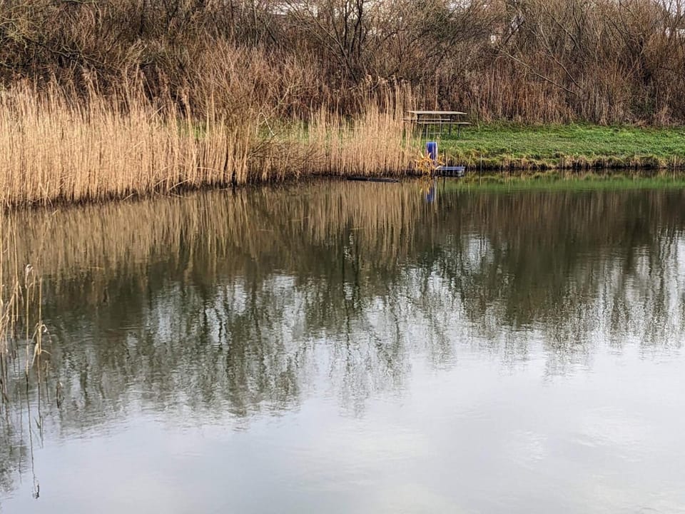 Lake view