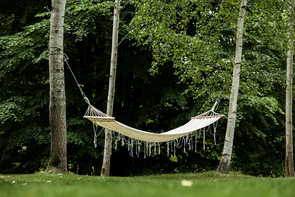 Day, Natural landscape, Garden, Garden view