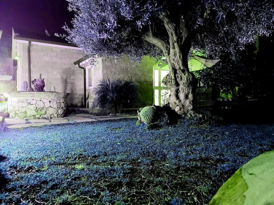 Facade/entrance, Garden