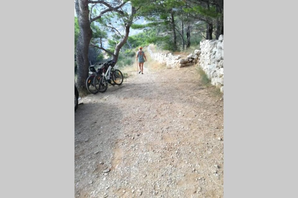 Apartman Nela Apartment in Brela